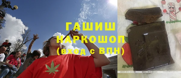 сатива Инсар