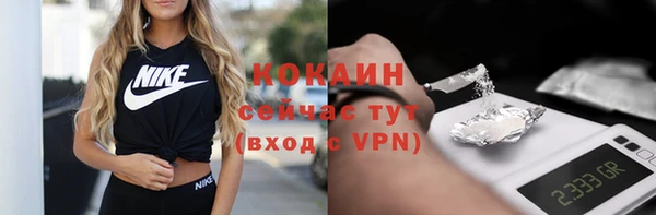 сатива Инсар