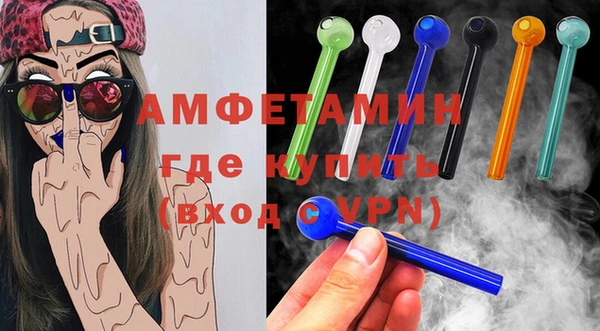 сатива Инсар