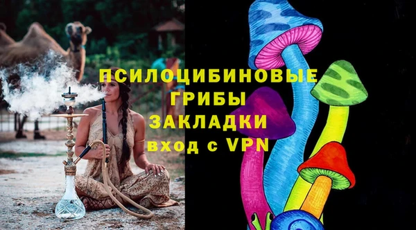 сатива Инсар