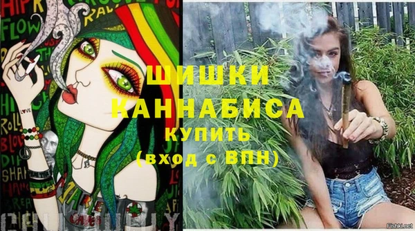 mix Инта