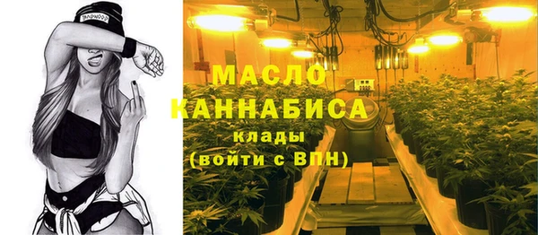mix Инта