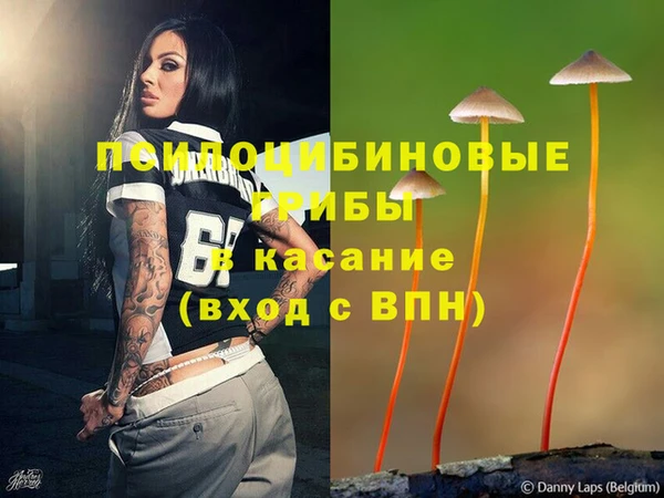 тгк Иннополис