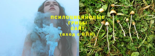mix Инта