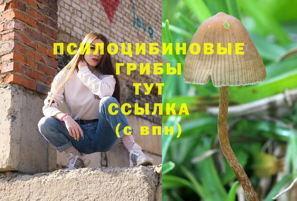 mix Инта