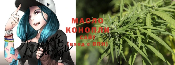 сатива Инсар
