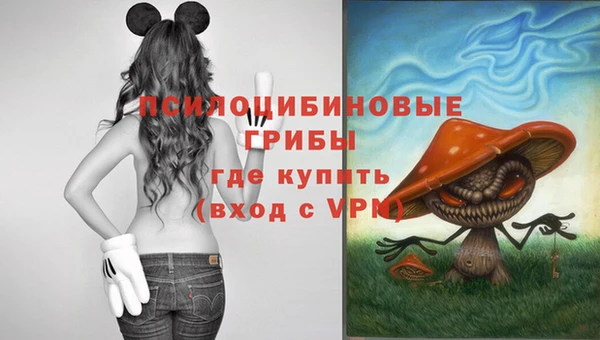 тгк Иннополис
