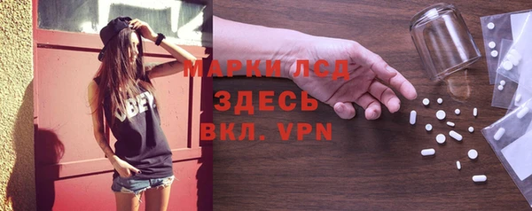 сатива Инсар