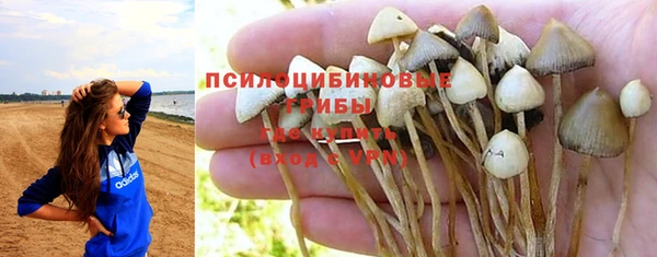 кристаллы Яровое