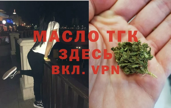 сатива Инсар