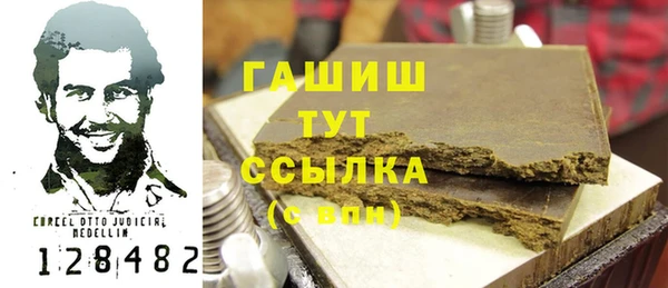 mix Инта