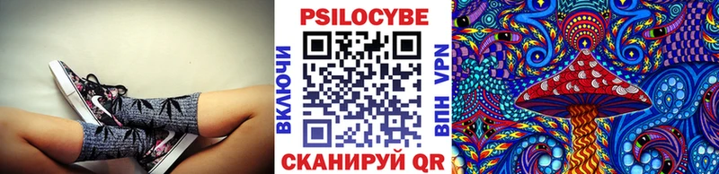 Галлюциногенные грибы Psilocybe Струнино